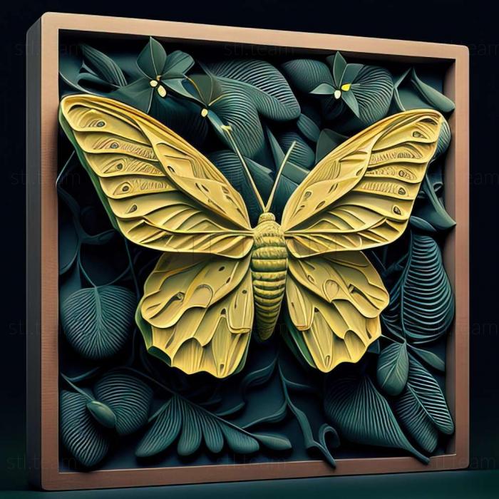 3D model Ornithoptera meridionalis (STL)